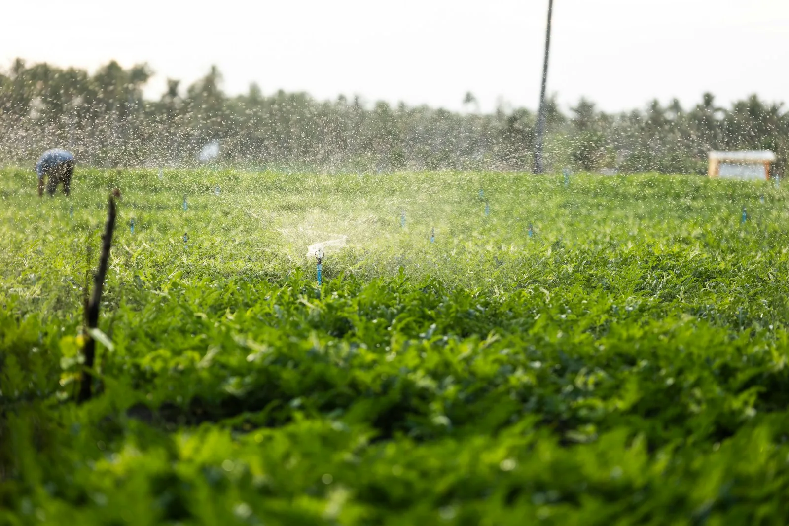 Soluciones para el campo